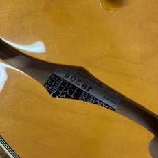 James Tyler JSHG / James' Semi-Hollow Grail - Vintage Natural_3