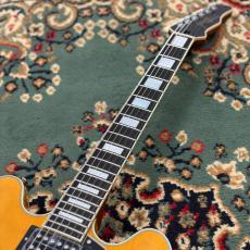 James Tyler JSHG / James' Semi-Hollow Grail - Vintage Natural_4