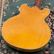 James Tyler JSHG / James' Semi-Hollow Grail - Vintage Natural_6