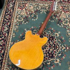 James Tyler JSHG / James' Semi-Hollow Grail - Vintage Natural_8