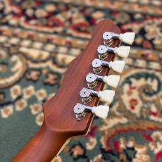 James Tyler JSHG / James' Semi-Hollow Grail - Vintage Natural_9