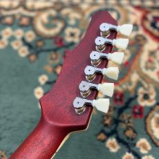 James Tyler JSHG / James' Semi-Hollow Grail - Cherry Red_9