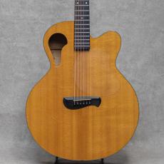 TACOMA BF28C Thunderhawk / 2004