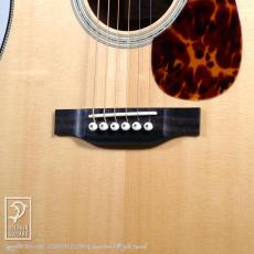 Greven Guitars Japan Oshio-DC HR_10