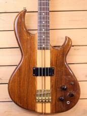 Aria Pro II SB-1000 WR/前期仕様