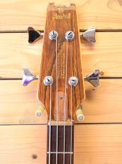 Aria Pro II SB-1000 WR/前期仕様_3