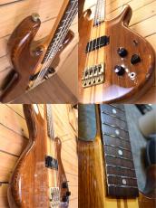 Aria Pro II SB-1000 WR/前期仕様_6