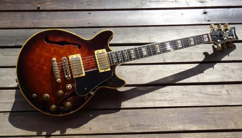 Ibanez AM205