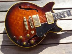 Ibanez AM205_2