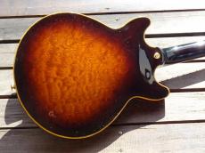 Ibanez AM205_5