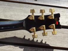 Ibanez AM205_7