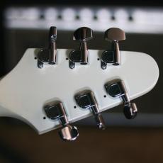 Combat Custum Order Flying V_8