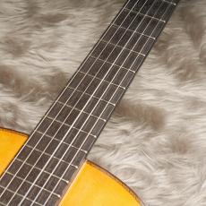 Nakade Teruaki [中出輝明] C20_5