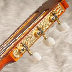 Nakade Teruaki [中出輝明] C20_8