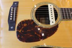 ASTURIAS D・EMBLEM_4