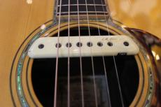 ASTURIAS D・EMBLEM_5