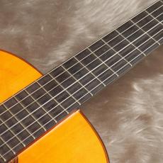 Conde Hermanos [コンデ・エルマノス] Especial_6