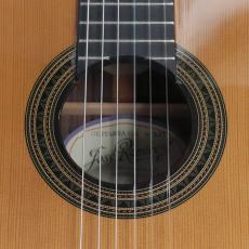 Jose Ramirez [ホセ・ラミレス] SPR CEDAR_9