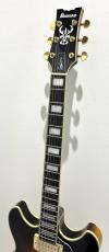 Ibanez JSM10EM / TTB(Two-tone Burst)_3