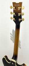 Ibanez JSM10EM / TTB(Two-tone Burst)_7