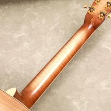 Martin CTM GP ALP/BLM-Flame_7