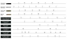 FORESTONE フォレストーンリード 檜 Hinoki アルトサックス用リード 【硬さ:H ハード】_2