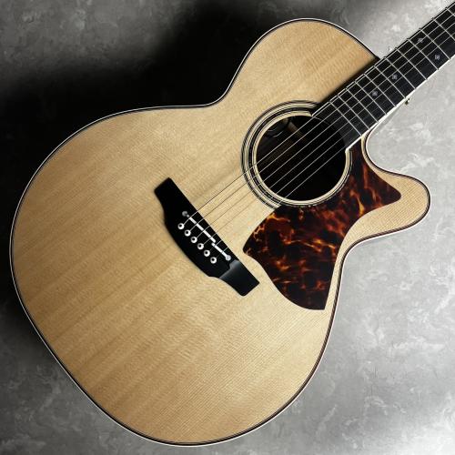 Takamine DNP50S