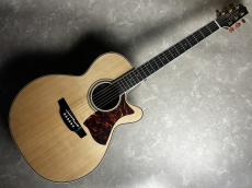 Takamine DNP50S_2