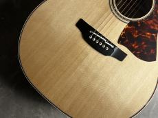 Takamine DNP50S_3