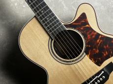 Takamine DNP50S_4