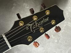 Takamine DNP50S_6
