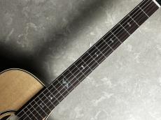 Takamine TSP10NCS エレガットギター ナイロン弦_5