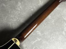 Takamine TSP10NCS エレガットギター ナイロン弦_9