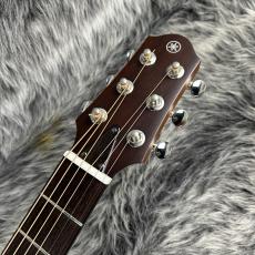 YAMAHA SLG200S NT MOD_4