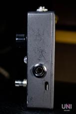 Fortin Amplification GRIND_5