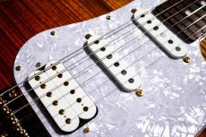 FUJIGEN EOS-FM-R Expert ODYSSEY_6