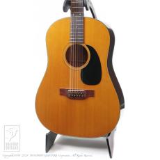 Martin D12-20 (12 Strings)