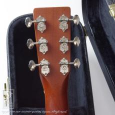 Breedlove DR Deluxe Custom_7