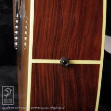 Breedlove DR Deluxe Custom_13