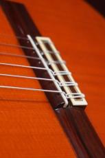 Jose Ramirez [ホセ・ラミレス] 1a  杉/ローズウッド単板_9