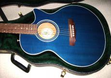Guild S4CE Songbird  