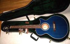 Guild S4CE Songbird  _7