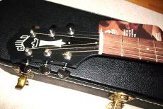 Guild S4CE Songbird  _9