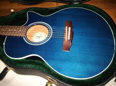 Guild S4CE Songbird  _11