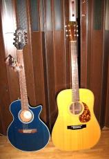 Guild S4CE Songbird  _14