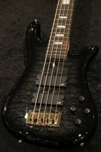 Spector Icon NS-5 Bolt-On /Black Stain【Spector Custom Shop設計の新シリーズ】【軽量3.86kg】