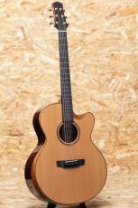 ASTURIAS Grand Solo Premio CR_3