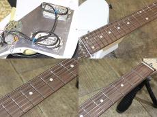 dragonfly BORDER 666 Pretend_7