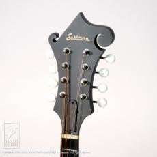 Eastman MD-314【48回無金利対象品】_10