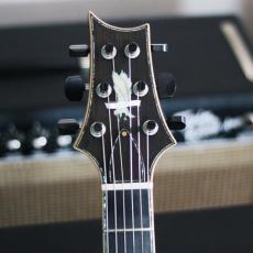 Paul Reed Smith [PRS] Private Stock#7223 Holloubody Ⅱ MaCarty 594 Limited "1of 60"_3